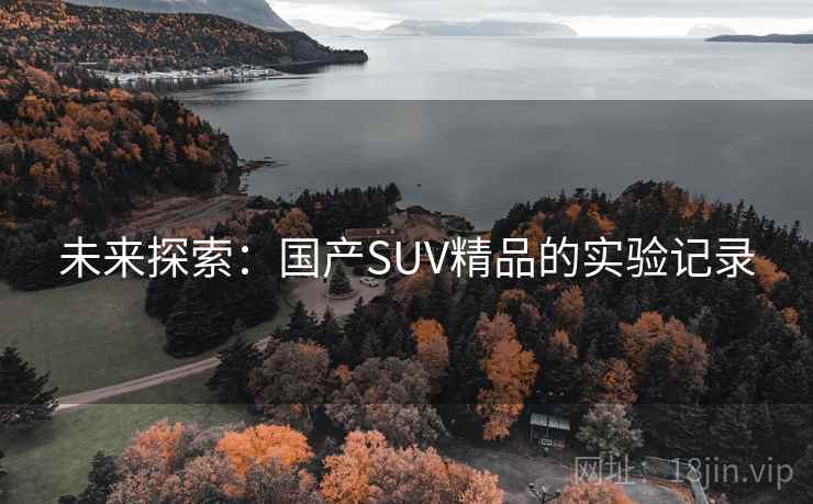 未来探索：国产SUV精品的实验记录